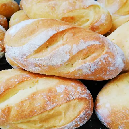 Burgas Szálloda Staßfurt