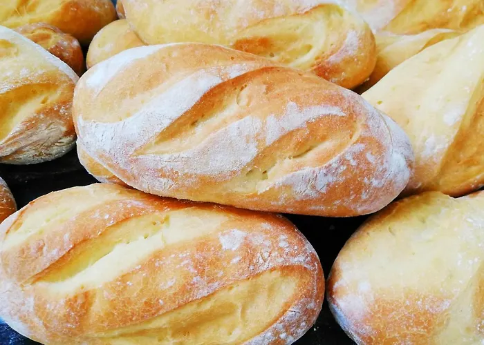 Burgas Hotell Stassfurt