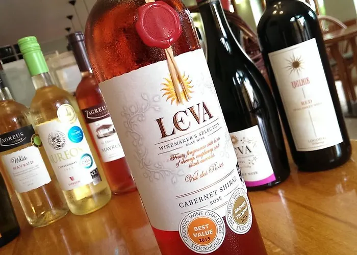 布尔加斯酒店 酒店